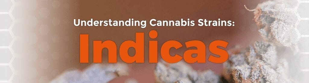 Understanding Cannabis Strains: Indicas