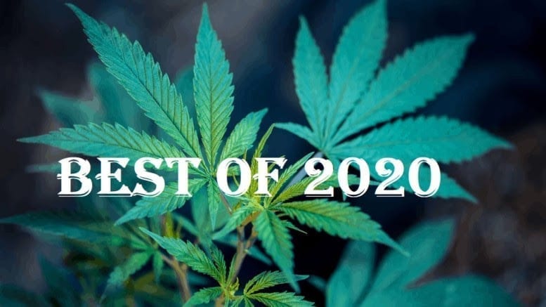 10 Cannabis Brands to Watch in 2020