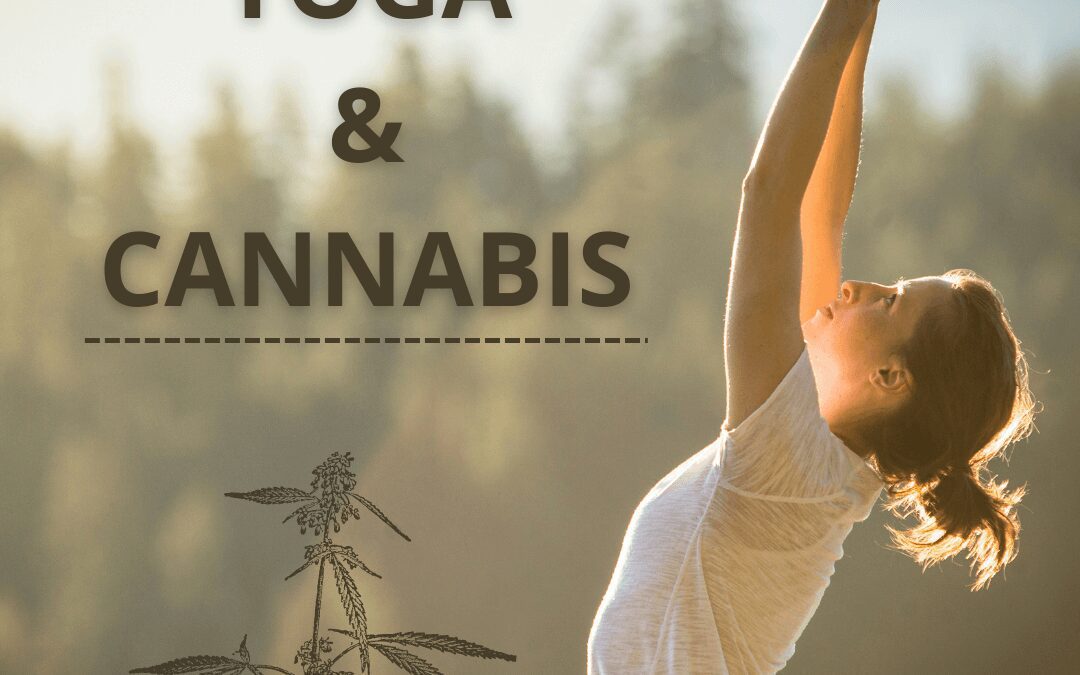 Yoga and Cannabis: A Meditative Match Made in Heaven