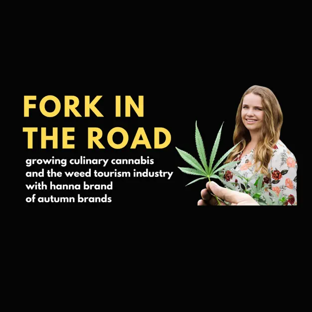Fork In The Road Podcast