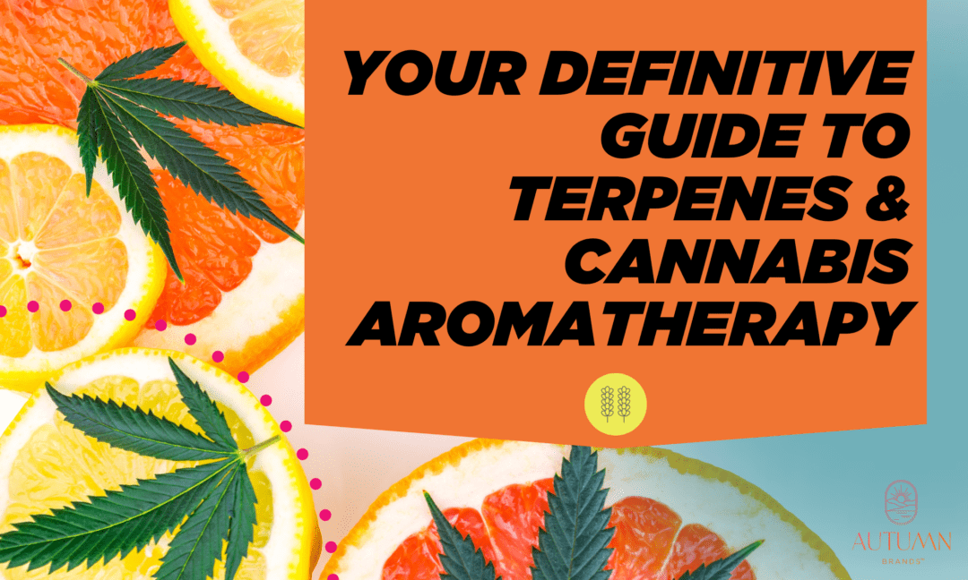 Your Definitive Guide to Terpenes and Cannabis Aromatherapy