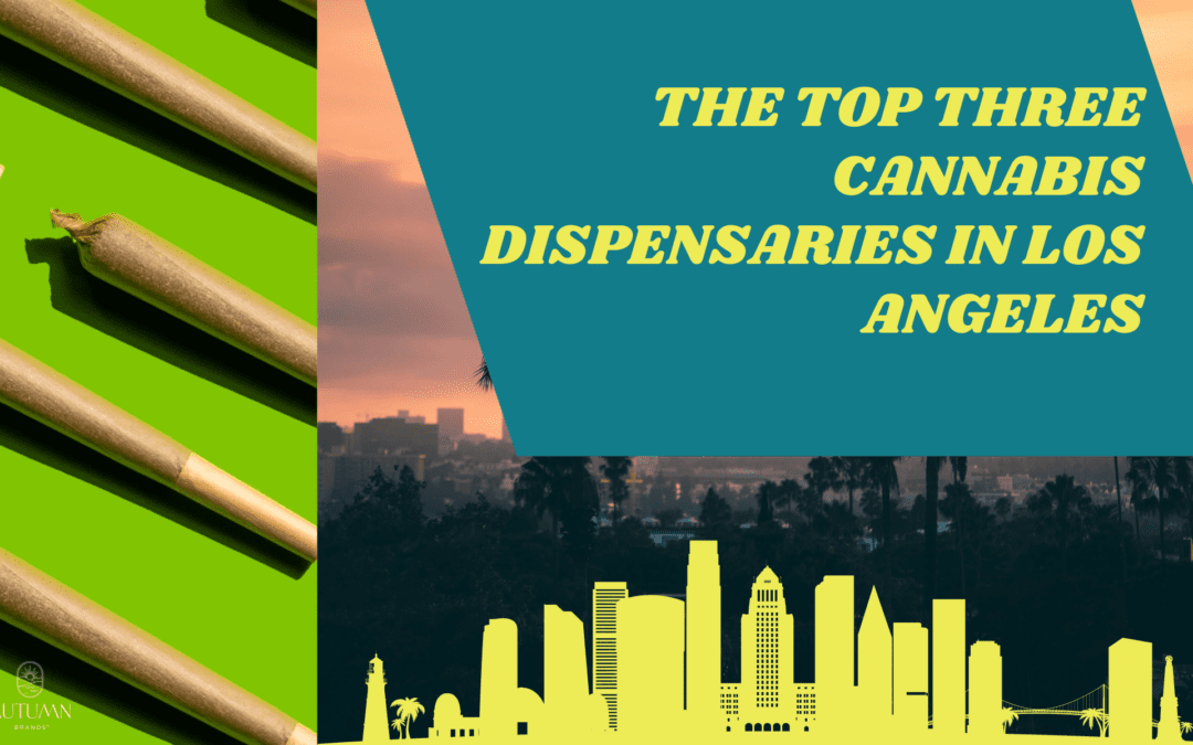 The Top Three Cannabis Dispensaries in Los Angeles