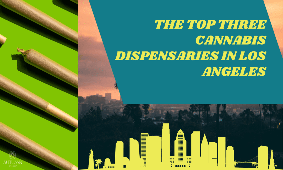 The Top Three Cannabis Dispensaries in Los Angeles