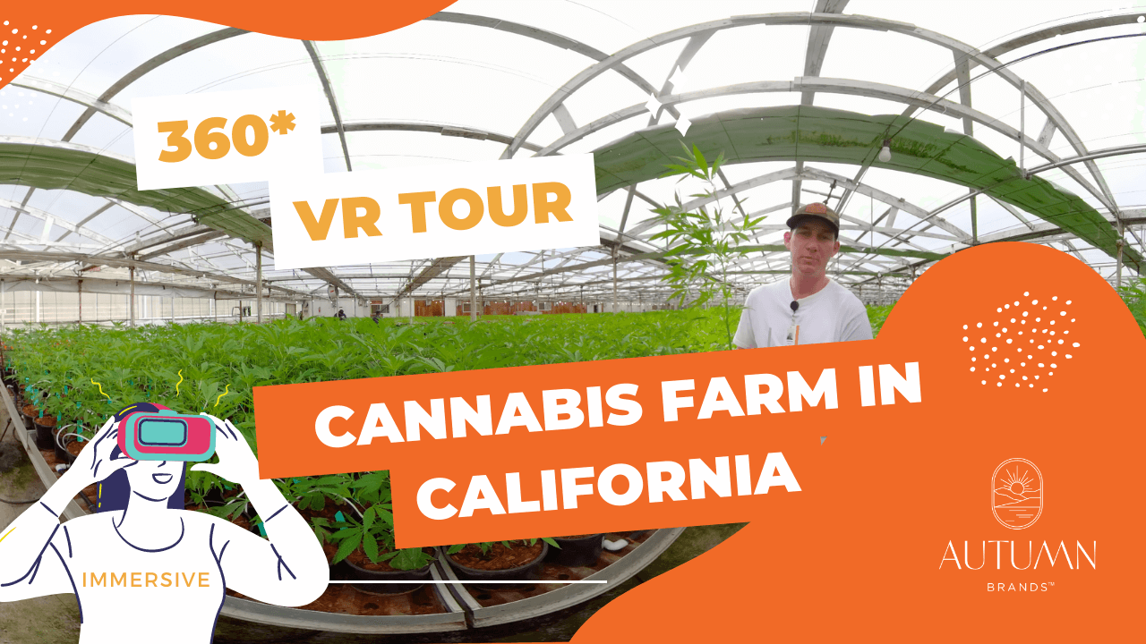 360 Virtual Reality Tour of Autumn Brands Cannabis Farm in California