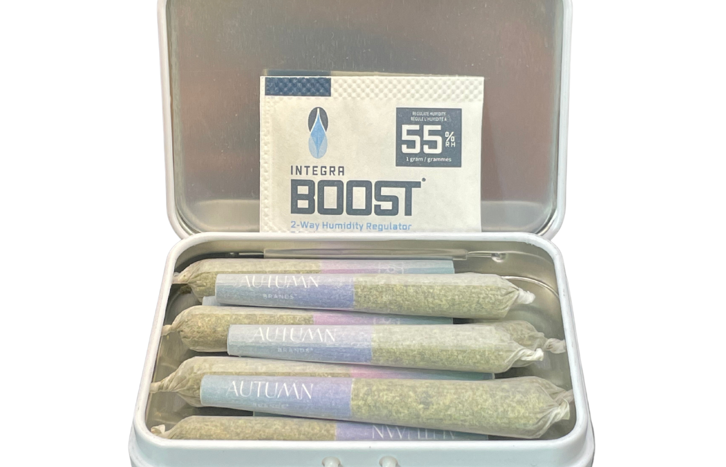 Cannabis Pre-Roll 10 Pack – Indica