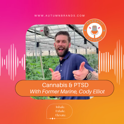 Former US Marine Discusses How Cannabis Has Drastically Helped His PTSD